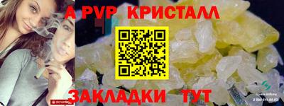 бошки Кингисепп