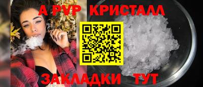 бошки Кингисепп