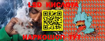 бошки Кингисепп