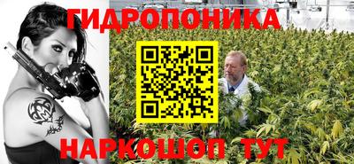 бошки Кингисепп