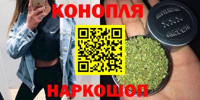 бошки Кингисепп