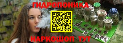 бошки Кингисепп