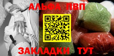 бошки Кингисепп