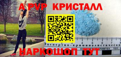бошки Кингисепп