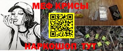 бошки Кингисепп