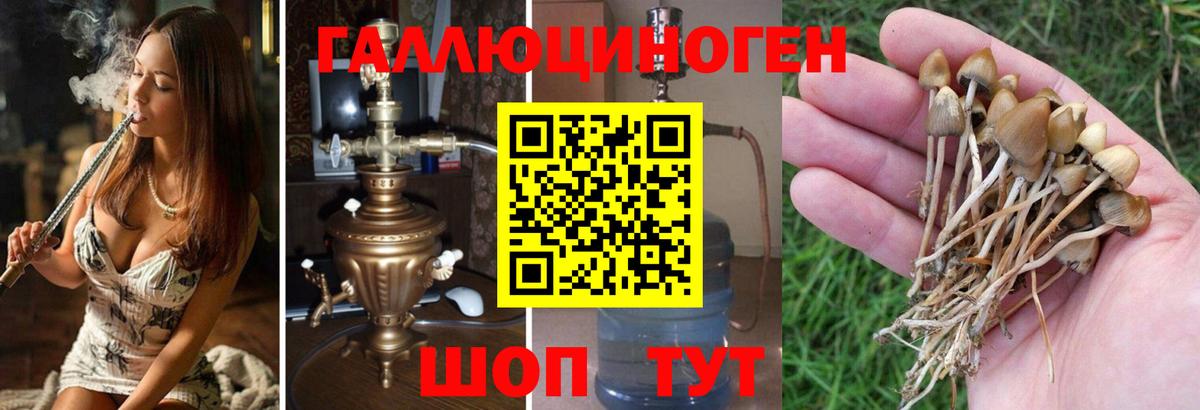 Котельники  Галлюциногенные грибы Magic Shrooms  Вход с VPN  Псилоцибиновые грибы мицелий 